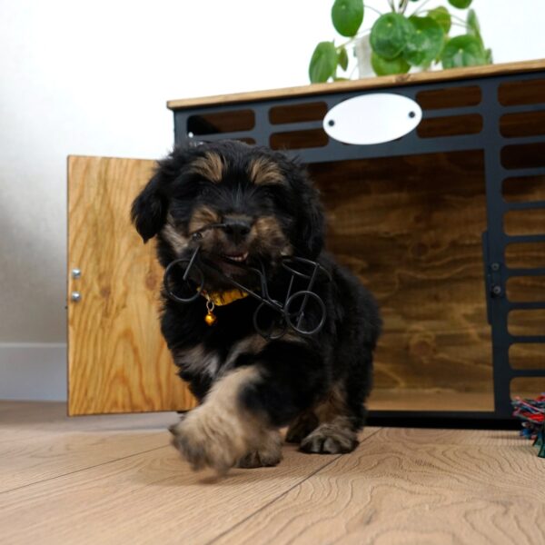 Citrovita Black & Brown Rustic Wood and Metal Dog House – Indoor Pet Shelter - Image 4